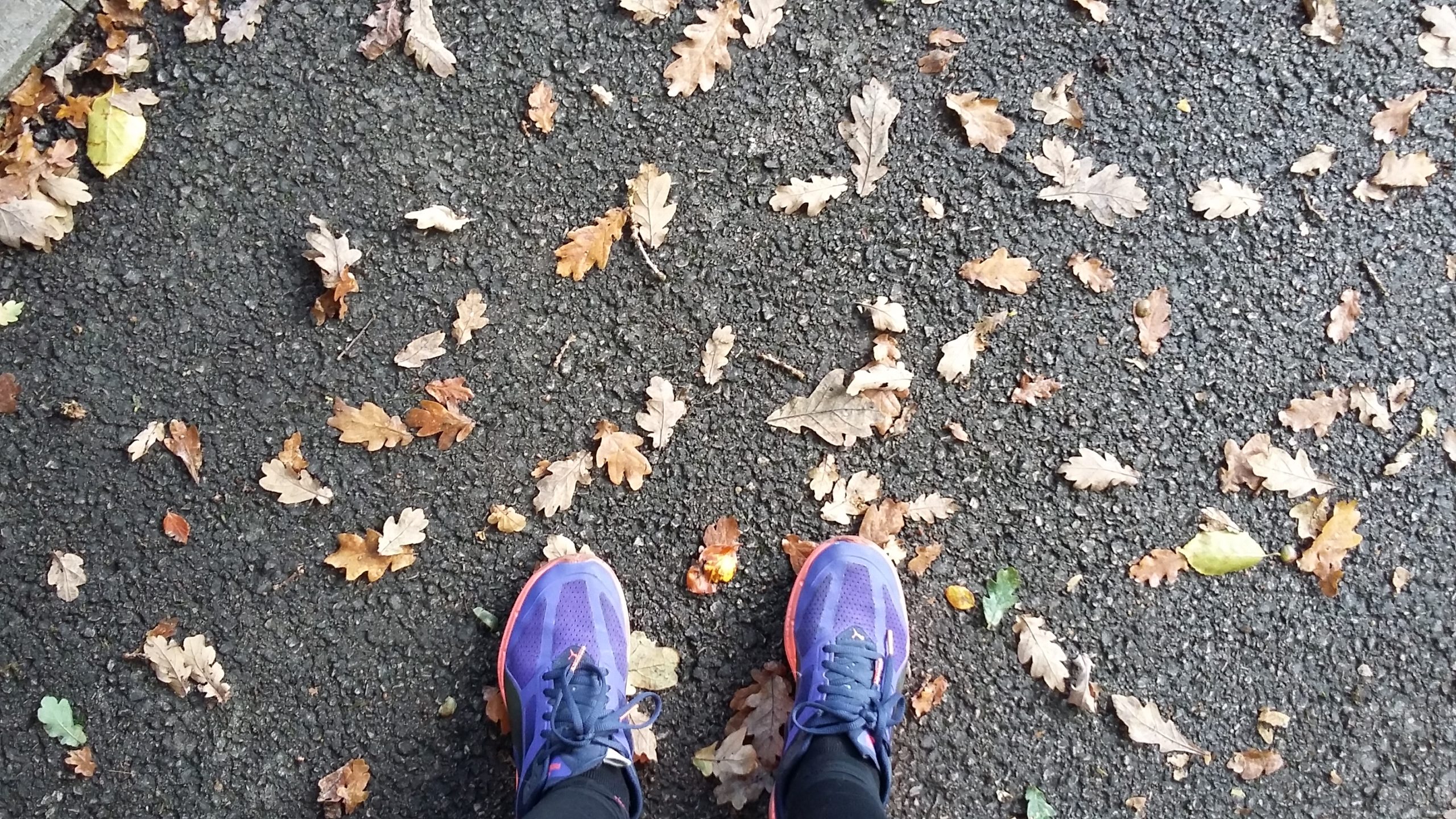 autumnrunningshoes