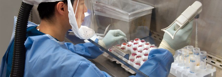 coronavirus_