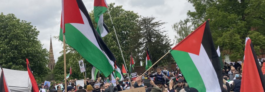 Platt field palastine protest