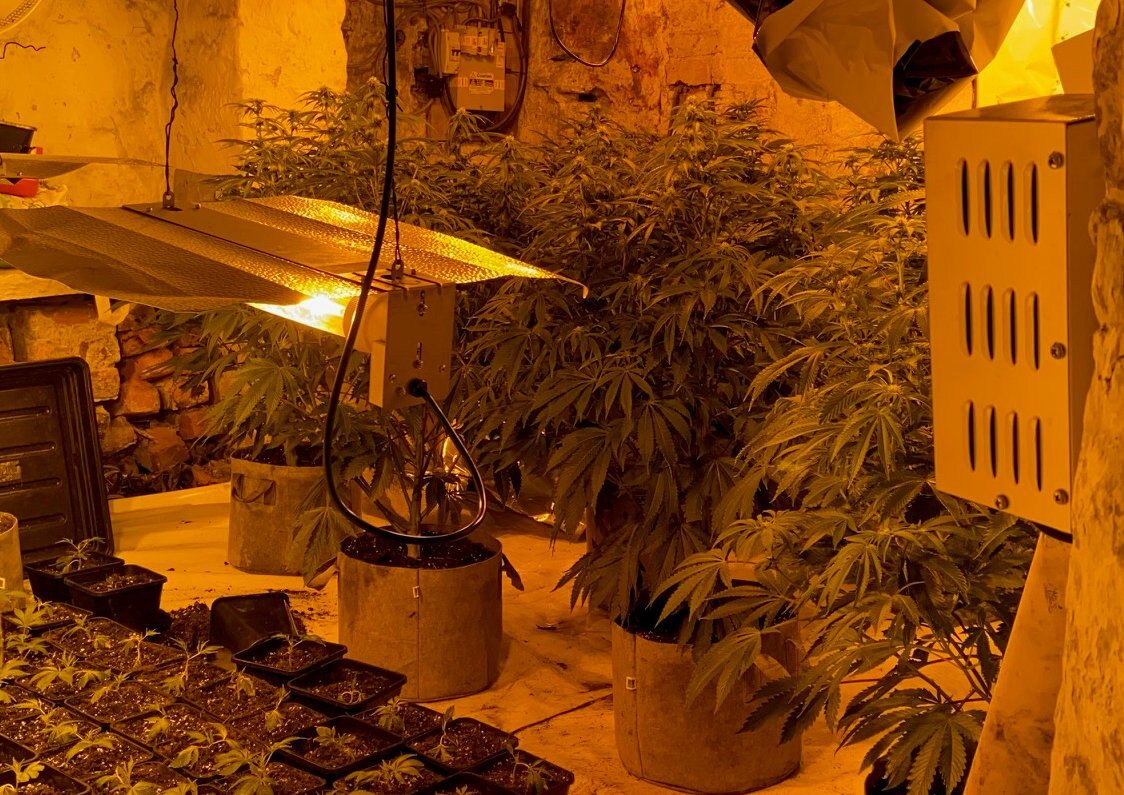 GMP Bury South Cannabis