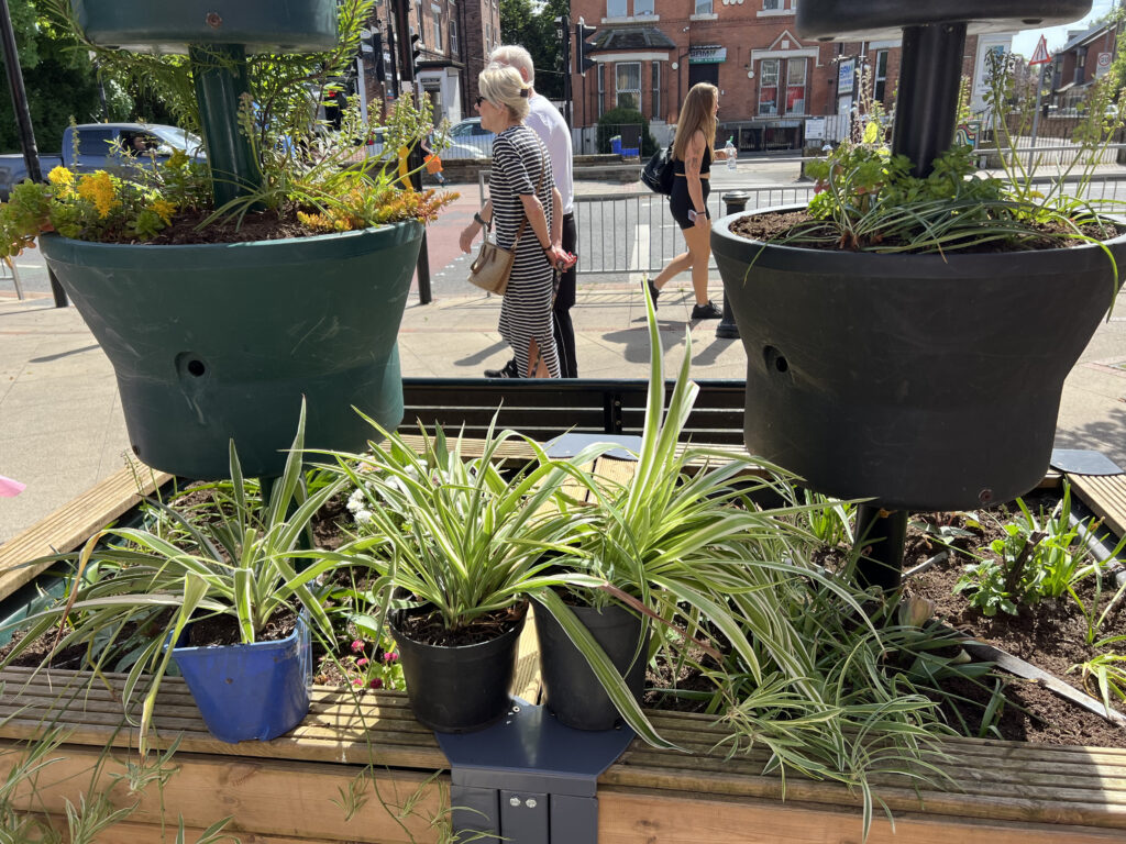 Three flower pots on the side of planter, on high street, to be planted. People pass behind.